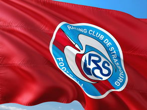 开云体育平台APP-帕尔梅拉斯战术布置详解，主帅重点强调防守反击