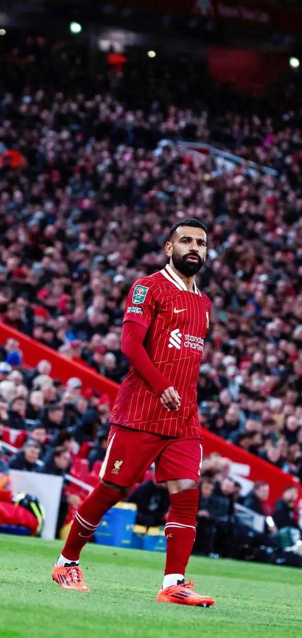 开云下载-利物浦球迷精彩画面回放，现场球迷热情高涨的简单介绍