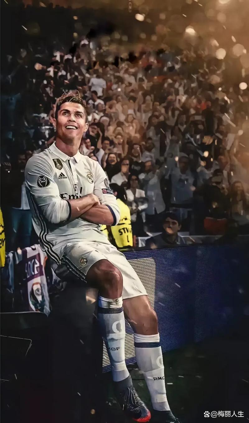 包含足球巨星风采赛场表现，全球球迷瞩目关注的词条