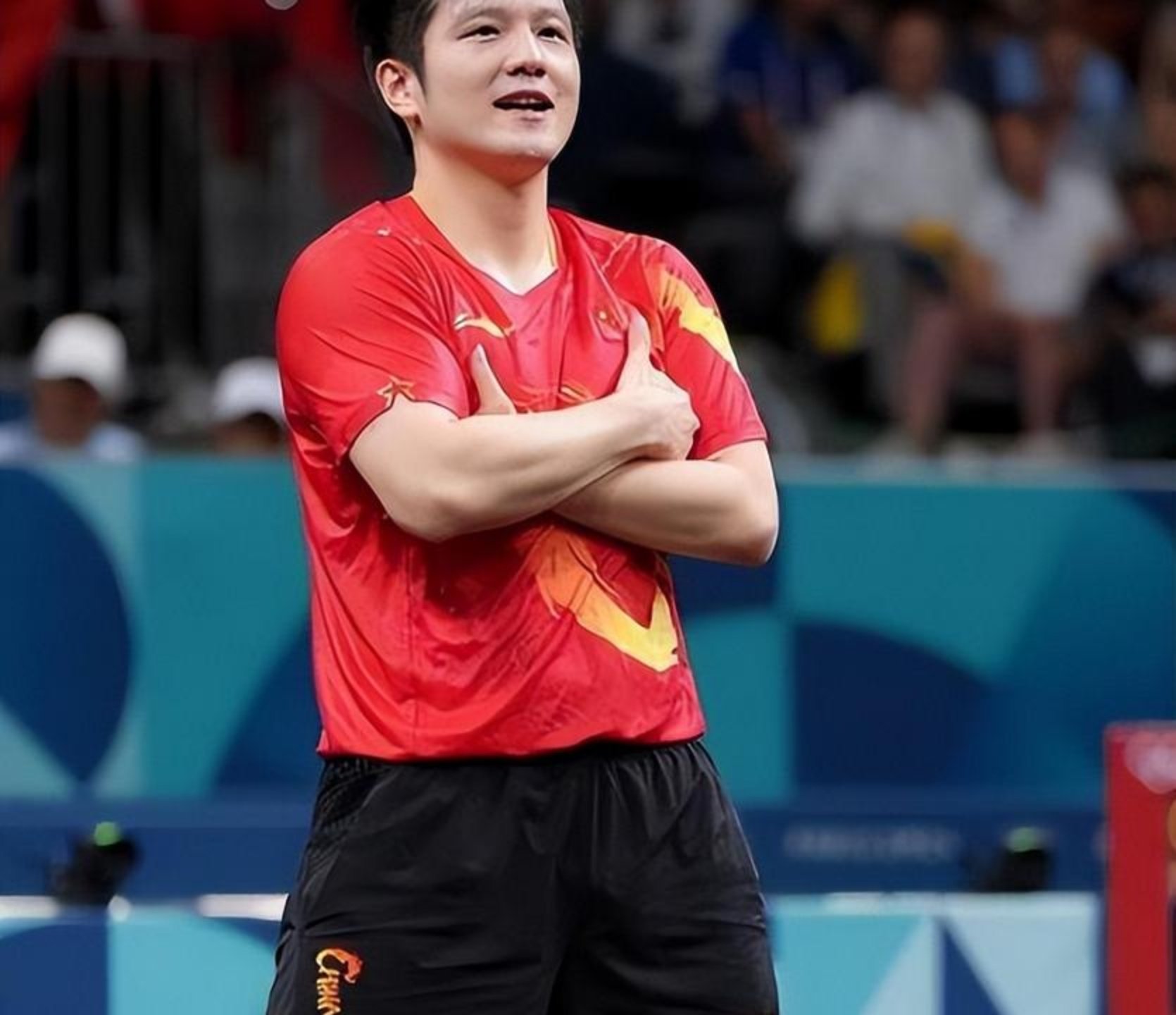 包含英国乒乓球队血洗波兰乒乓球队，樊振东爆发神勇的词条