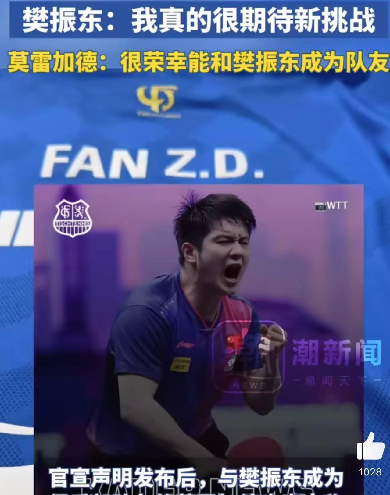 开云APP-德国乒乓球队鏖战波兰乒乓球队，樊振东高光表现的简单介绍