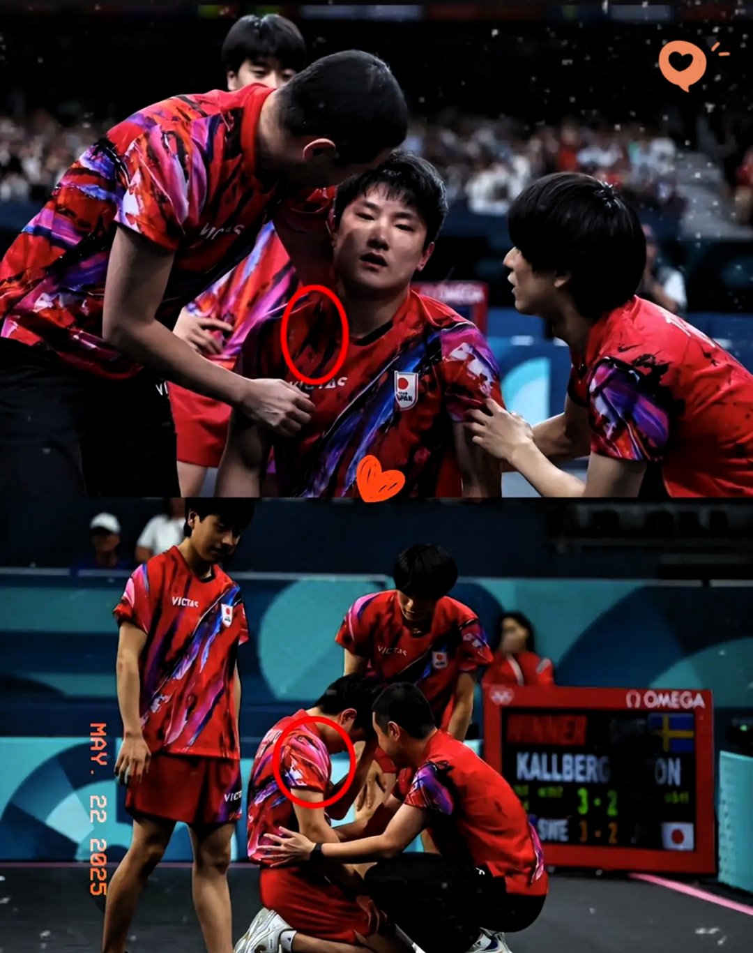 英国乒乓球队完胜德国乒乓球队,张本智和绝境逆转的简单介绍 英国乒乓球队完胜德国乒乓球队,张本智和绝境逆转的简单介绍